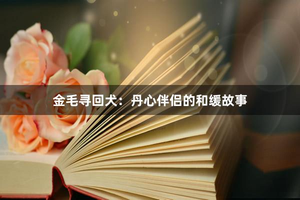 金毛寻回犬：丹心伴侣的和缓故事