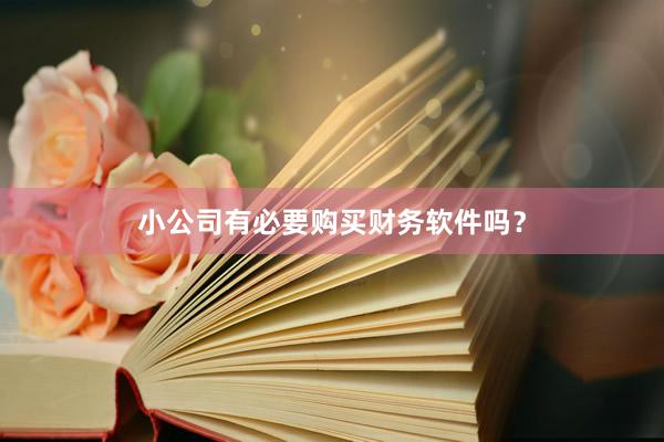 小公司有必要购买财务软件吗？
