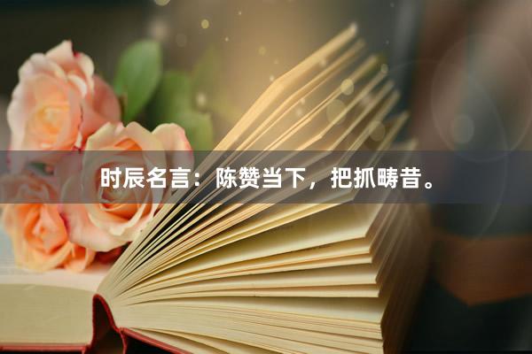 时辰名言：陈赞当下，把抓畴昔。